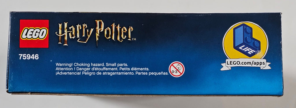 LEGO 75946 - Harry Potter Hungarian Horntail Triwizard Challenge image 6