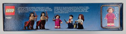 Harry Potter LEGO 75967 – Harry Potter Forbidden Forest: Umbridge’s Encounter